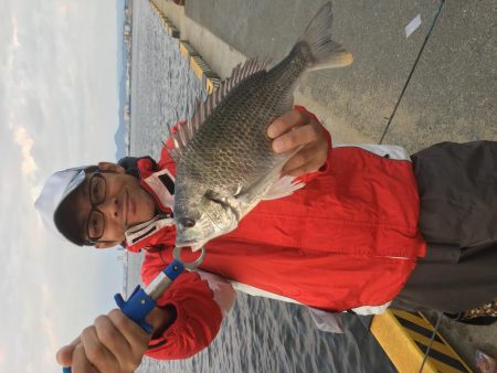 １投目からキビレチヌ釣った。やったぜ＾＾＾